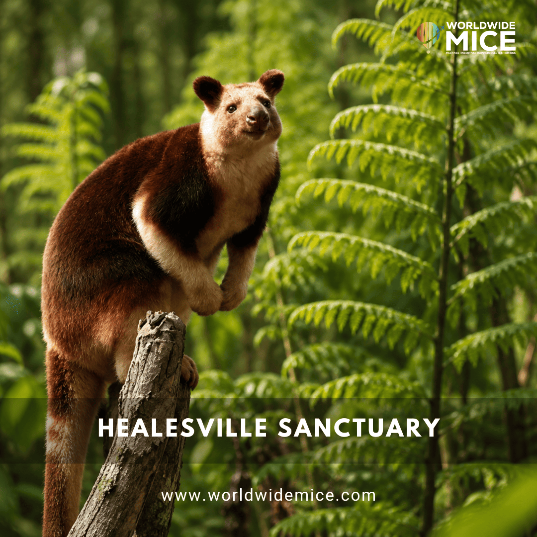 Healesville Sanctuary